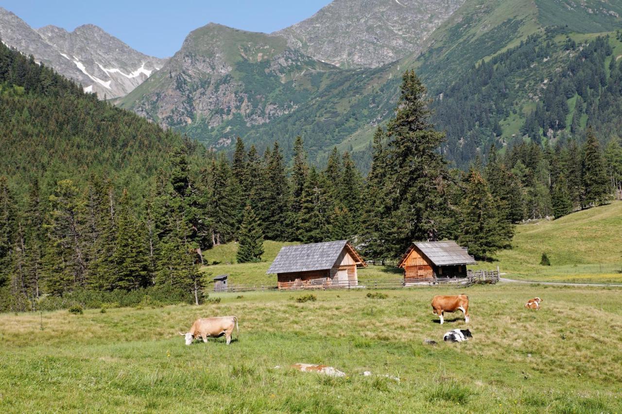 Alpenhotel & Aparthotel Lanz โฮเฮนเทาเอิร์น ภายนอก รูปภาพ